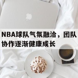 手机APP-NBA球队气氛融洽，团队协作逐渐健康成长的简单介绍